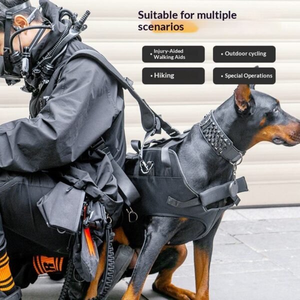 Double-Shoulder Dog Harness