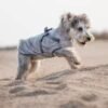 Waterproof Dog Rain Jacket