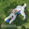 Color-Block Zipper Waterproof Breathable Dog Jacket