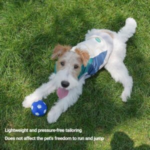 Color-Block Zipper Waterproof Breathable Dog Jacket
