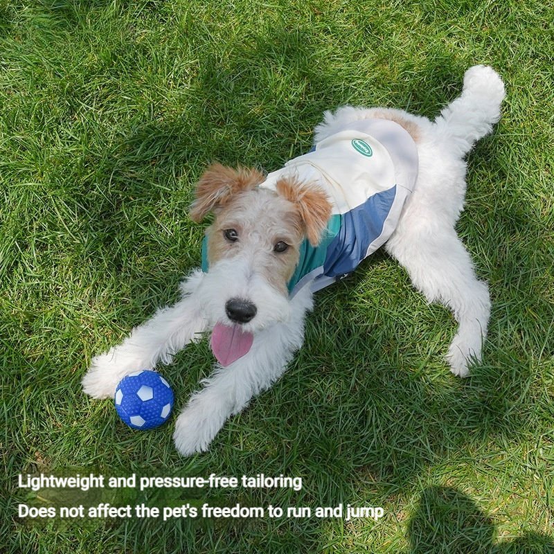 Color-Block Zipper Waterproof Breathable Dog Jacket