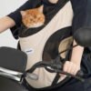Double-Shoulder Pet Carrier Backpack