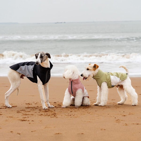 High-Collar Lightweight Dog Summer Vest
