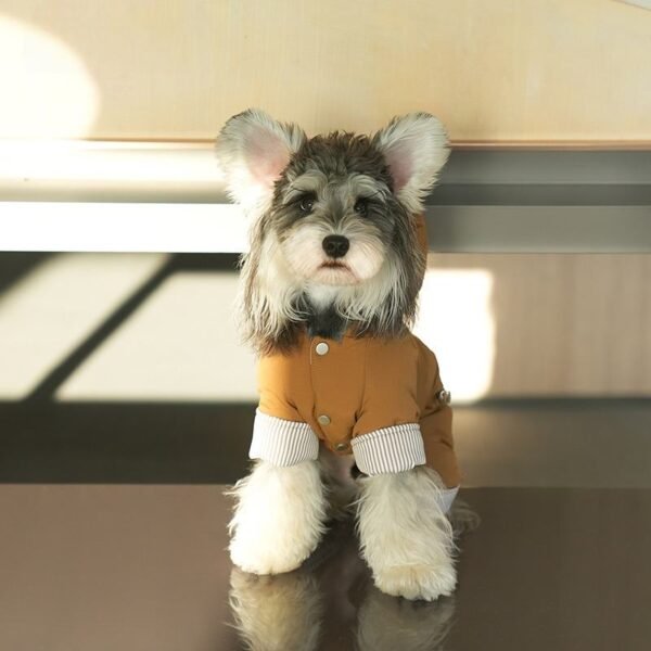 Waterproof Four-Leg Winter Dog Coat