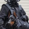 Double-Shoulder Dog Harness