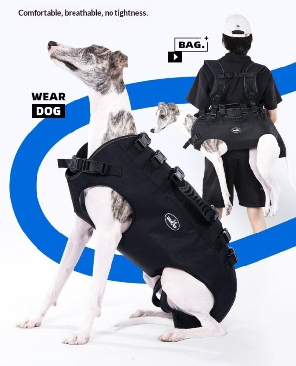 Double-Shoulder Dog Harness